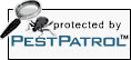 PestPatrol Promises Pest-Free Downloads and Browsing!
